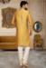 Picture of Magnificent Silk Sienna Kurtas