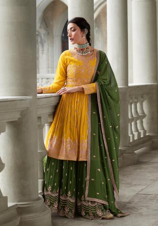 Picture of Dark Orange & Dark Olive Green Straight Cut Salwar Kameez