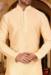 Picture of Delightful Silk Wheat Kurtas