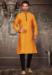 Picture of Beautiful Silk Golden Rod Kurtas