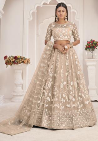 Picture of Fascinating Net Tan Lehenga Choli