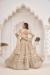 Picture of Fascinating Net Tan Lehenga Choli