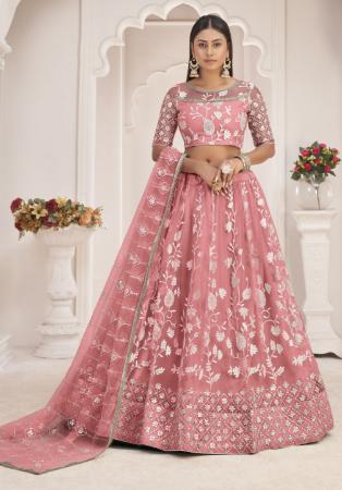 Picture of Magnificent Net Tan Lehenga Choli