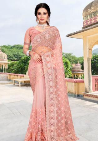 Picture of Lovely Net Tan Saree