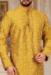 Picture of Grand Silk Golden Rod Kurtas