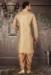 Picture of Grand Silk Tan Kurtas