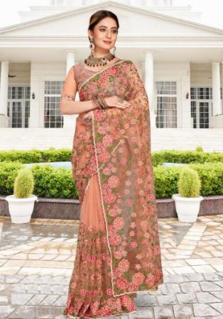 Picture of Beautiful Net Tan Saree