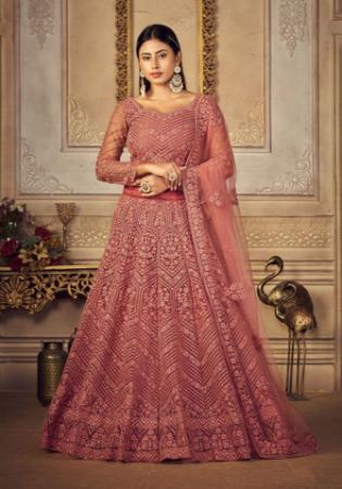 Picture of Beautiful Net Indian Red Lehenga Choli