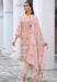 Picture of Georgette & Net Tan Straight Cut Salwar Kameez