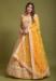 Picture of Admirable Net Sandy Brown Lehenga Choli