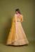 Picture of Admirable Net Sandy Brown Lehenga Choli