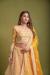 Picture of Admirable Net Sandy Brown Lehenga Choli