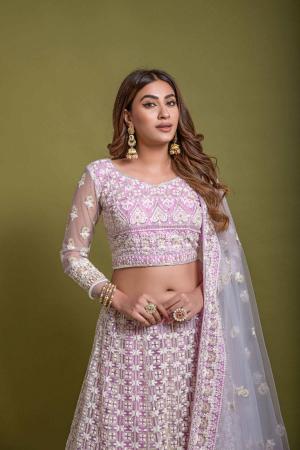 Picture of Ideal Net Plum Lehenga Choli