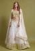 Picture of Excellent Net Silver Lehenga Choli