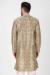 Picture of Grand Silk Tan Kurtis & Tunic