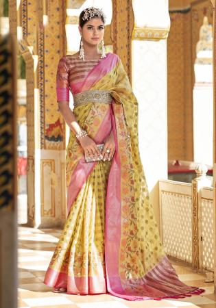 Picture of Radiant Organza Khaki Saree