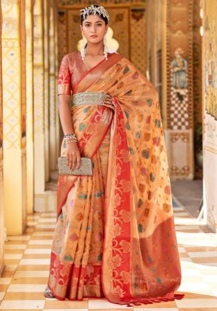 Picture of Fascinating Organza Dark Salmon Saree