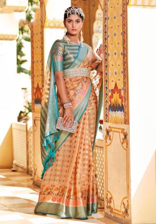 Picture of Fascinating Organza Dark Salmon Saree