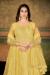 Picture of Beauteous Net Khaki Anarkali Salwar Kameez