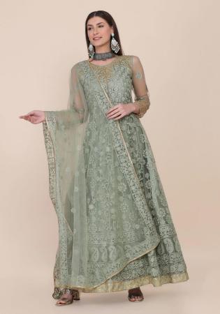 Picture of Taking Net Dim Gray Straight Cut Salwar Kameez