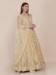 Picture of Bewitching Net Tan Straight Cut Salwar Kameez