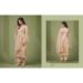 Picture of Exquisite Net Tan Straight Cut Salwar Kameez