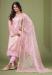 Picture of Exquisite Net Beige Straight Cut Salwar Kameez