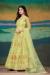 Picture of Gorgeous Net Pale Golden Rod Anarkali Salwar Kameez