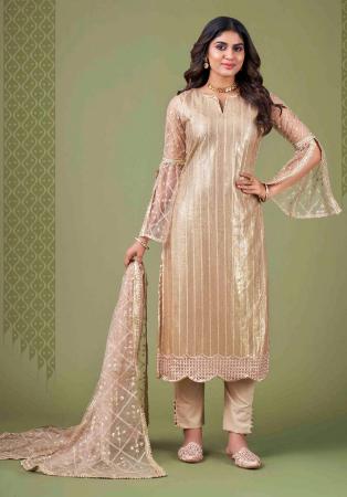 Picture of Lovely Net Tan Straight Cut Salwar Kameez