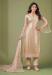 Picture of Lovely Net Tan Straight Cut Salwar Kameez