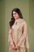 Picture of Lovely Net Tan Straight Cut Salwar Kameez