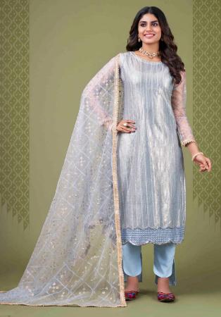 Picture of Net Light Steel Blue Straight Cut Salwar Kameez