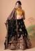 Picture of Admirable Net Black Lehenga Choli