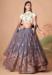 Picture of Gorgeous Net Slate Grey Lehenga Choli