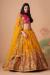 Picture of Ideal Net Dark Orange Lehenga Choli