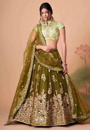 Picture of Gorgeous Net Olive Drab Lehenga Choli