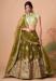 Picture of Gorgeous Net Olive Drab Lehenga Choli