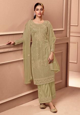 Picture of Pleasing Net Beige Straight Cut Salwar Kameez