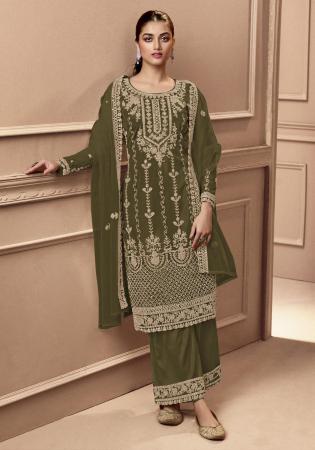 Picture of Net Dark Olive Green Straight Cut Salwar Kameez