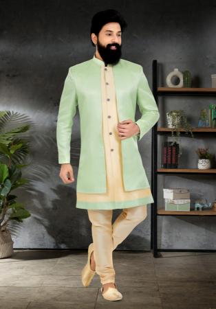 Picture of Sightly Georgette & Silk Pale Green Indo Western