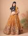 Picture of Comely Silk Dark Khaki Lehenga Choli