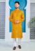 Picture of Radiant Silk Golden Rod Kurtas