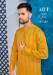 Picture of Radiant Silk Golden Rod Kurtas