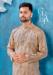 Picture of Grand Silk Rosy Brown Kurtas