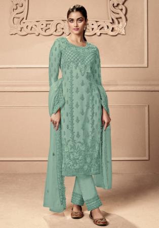 Picture of Net Dark Sea Green Straight Cut Salwar Kameez