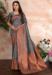 Picture of Taking Silk Slate Grey Saree