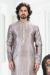 Picture of Nice Silk Silver Kurtas