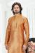 Picture of Magnificent Silk Peru Kurtas