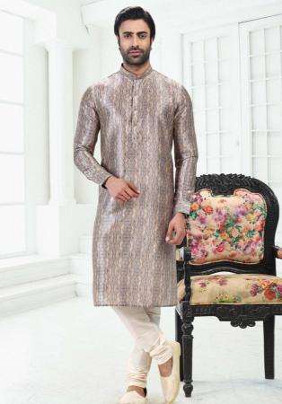 Picture of Gorgeous Silk Silver Kurtas