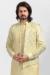 Picture of Shapely Silk Tan Kurtas